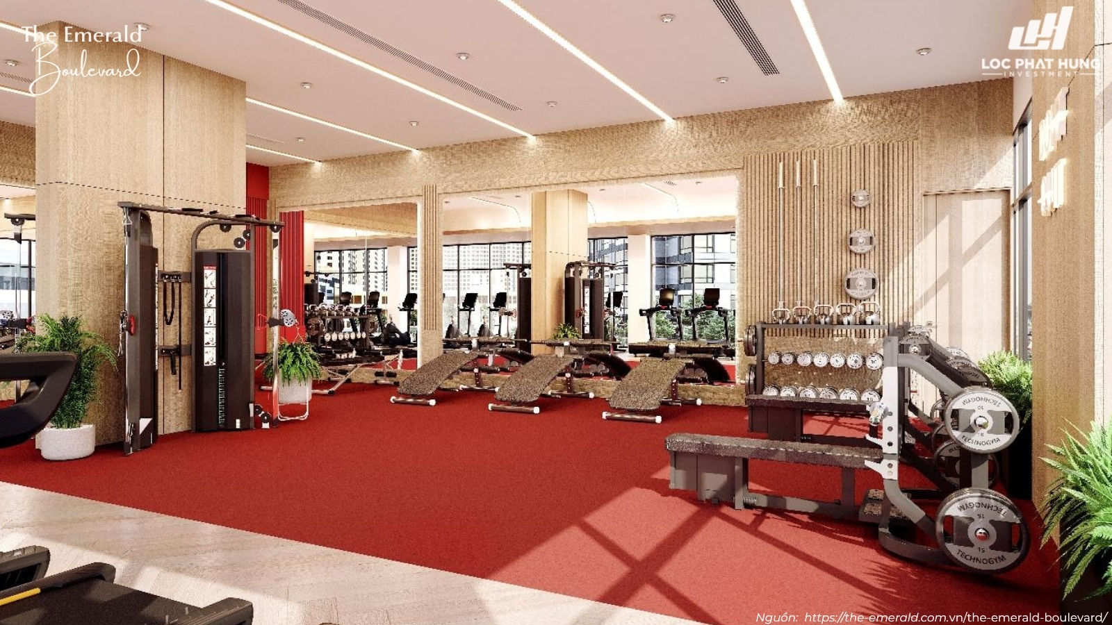 Phòng Gym hiện đại The Emerald Boulevard